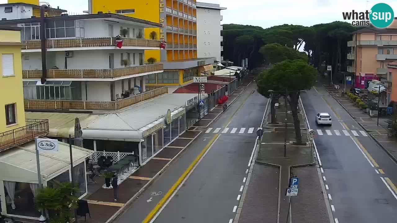 Livecam Rosolina mare