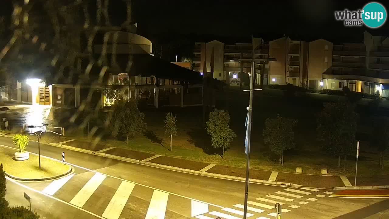 Camera en vivo Rosolina mare