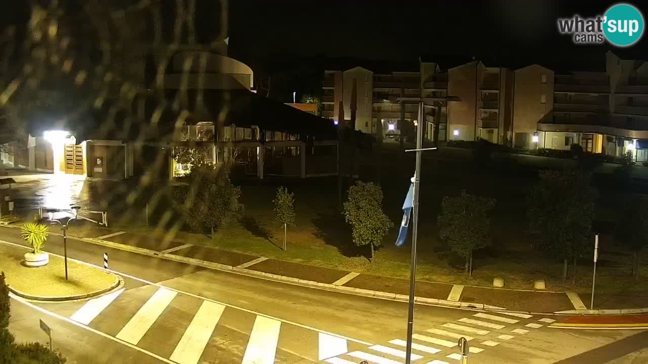 Camera en vivo Rosolina mare