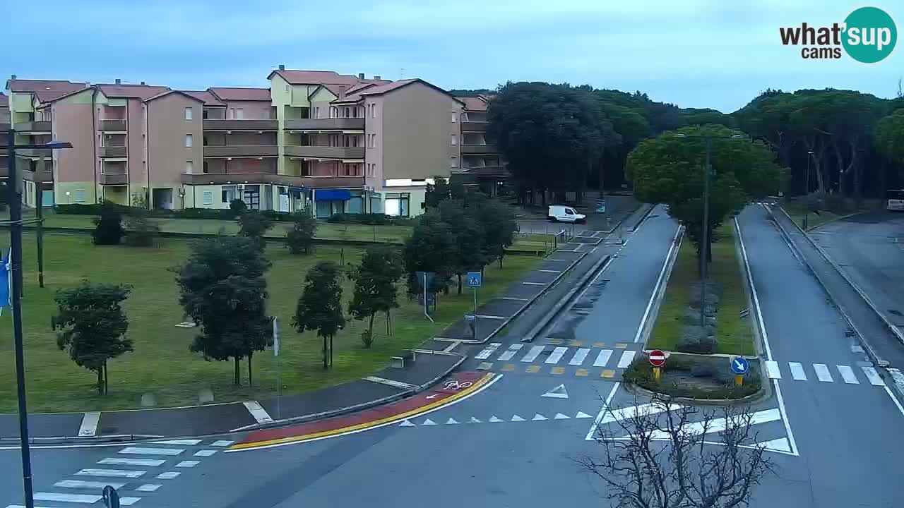 Camera en vivo Rosolina mare