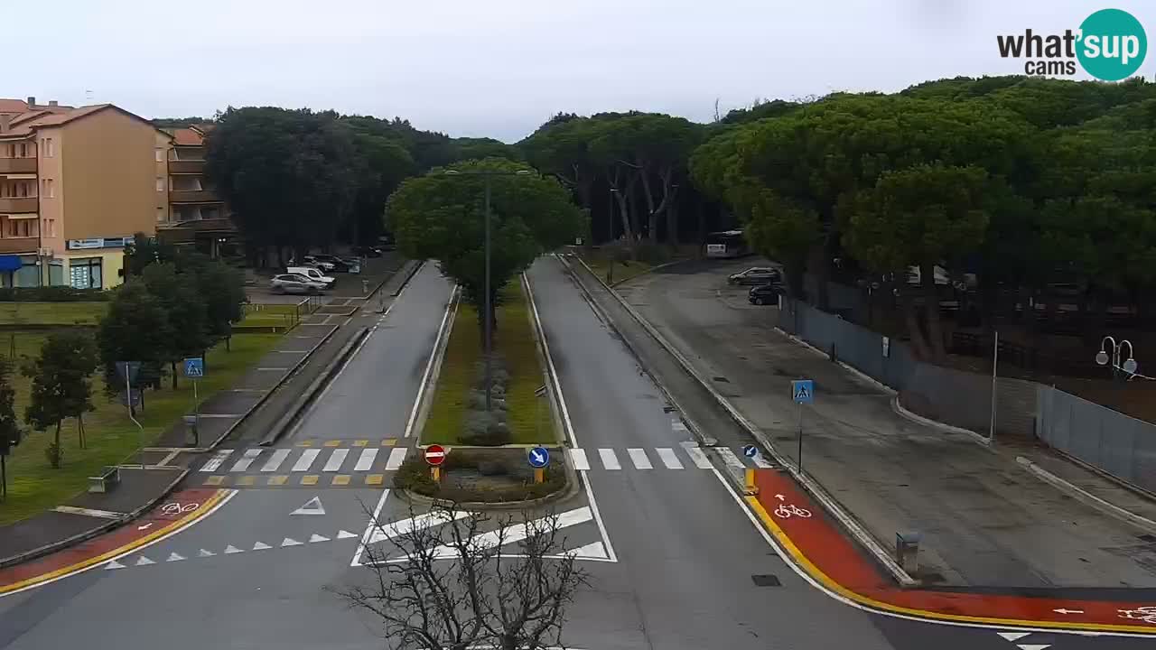 Web kamera Rosolina mare