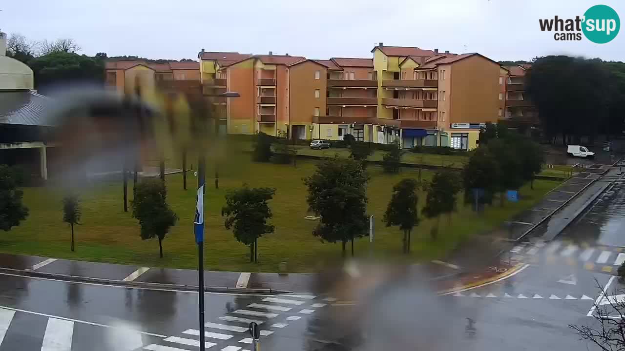 Web kamera Rosolina mare