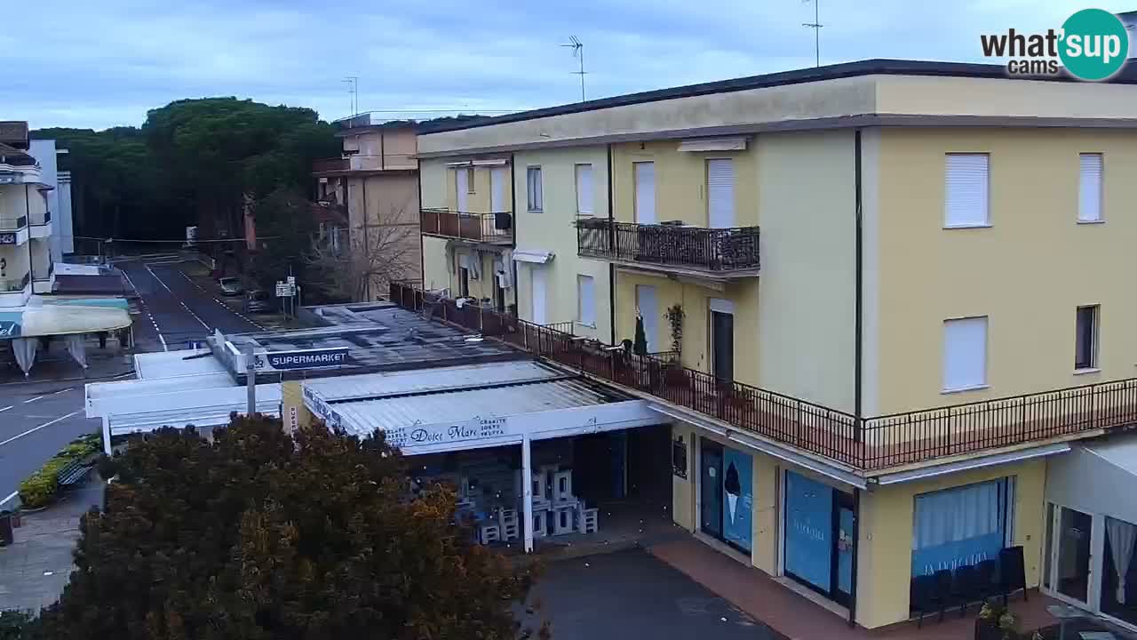 Livecam Rosolina mare