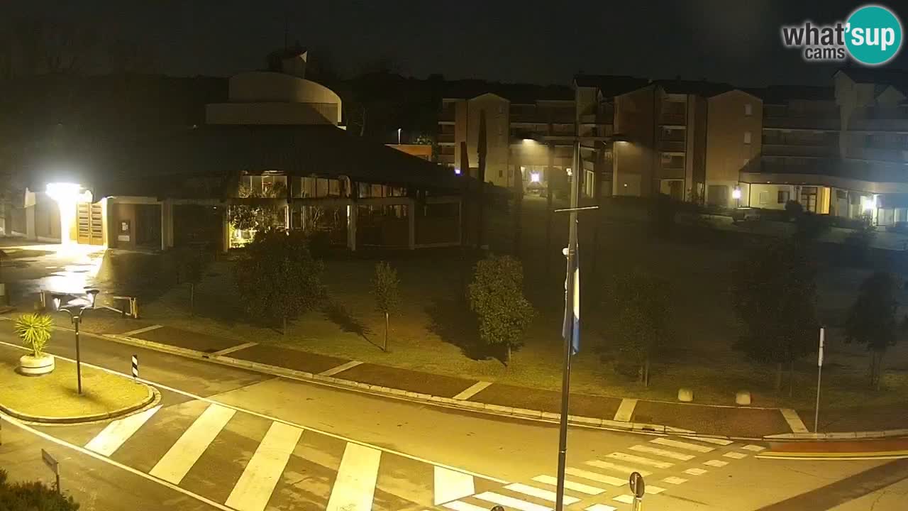 Camera en vivo Rosolina mare