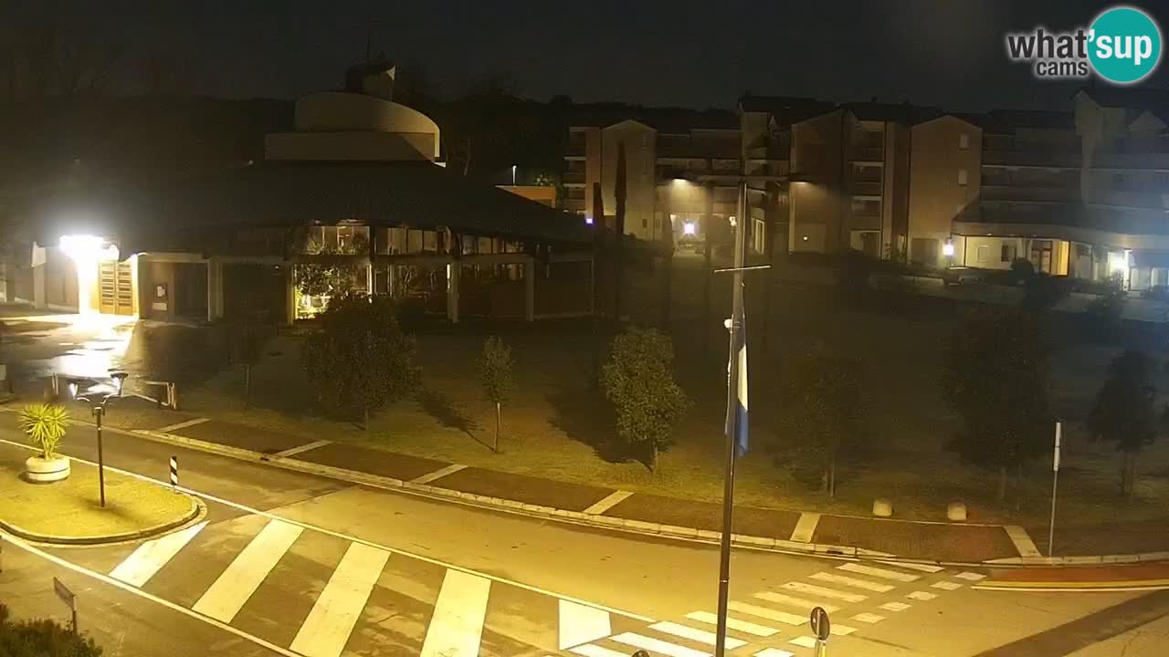 Camera en vivo Rosolina mare