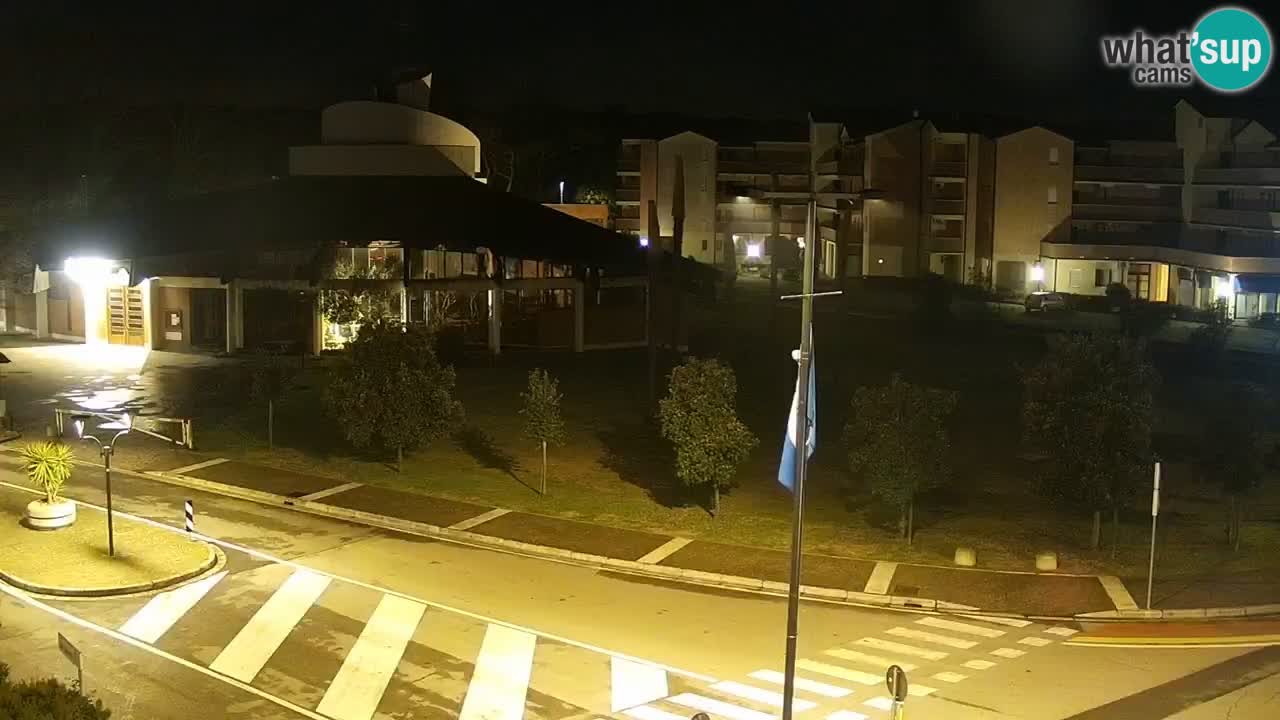 Camera en vivo Rosolina mare