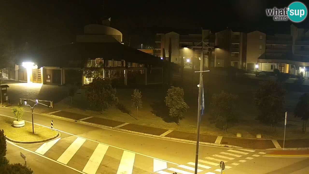 Livecam Rosolina mare