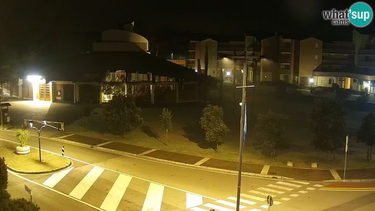 Camera en vivo Rosolina mare