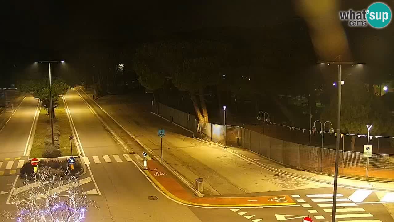 Camera en vivo Rosolina mare