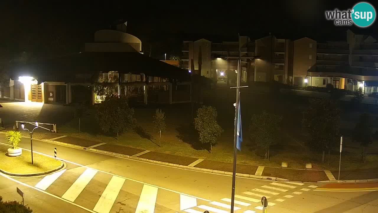 Livecam Rosolina mare