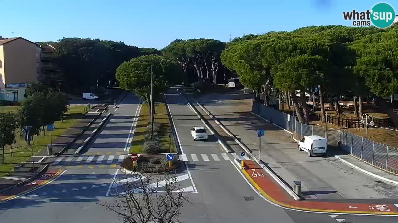 Web kamera Rosolina mare