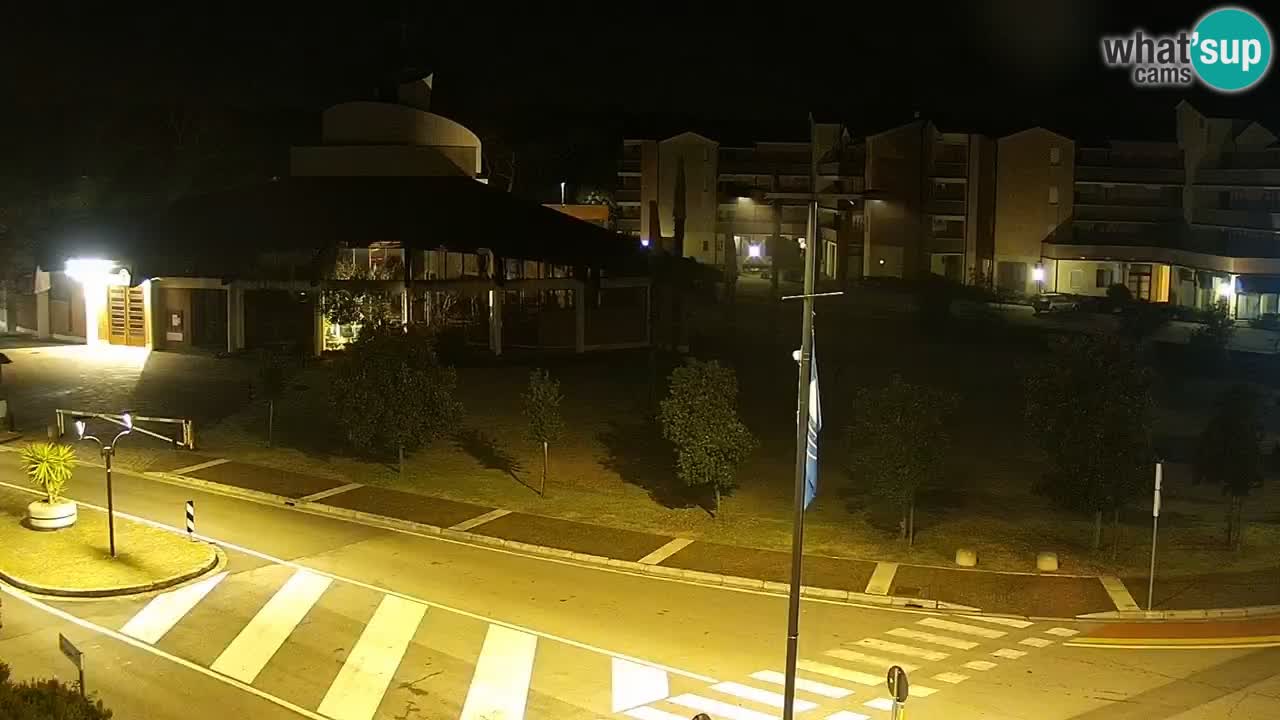 Camera en vivo Rosolina mare