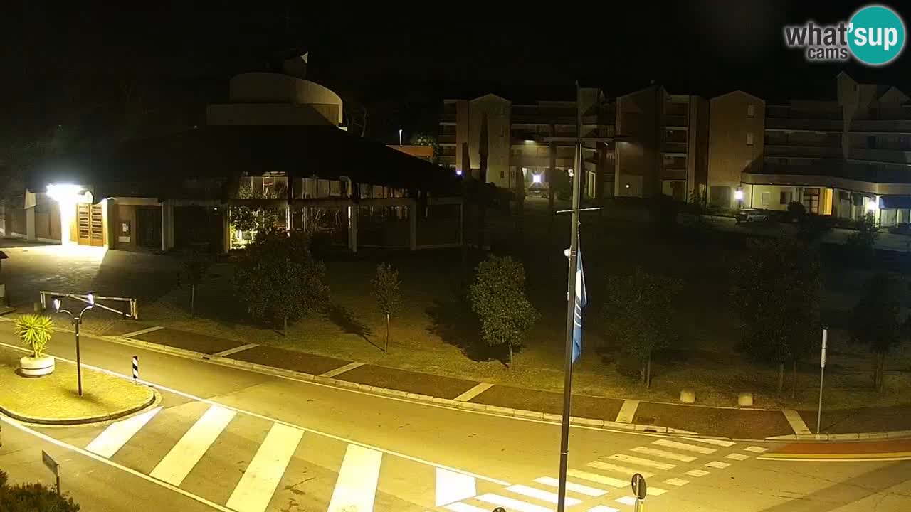 Camera en vivo Rosolina mare