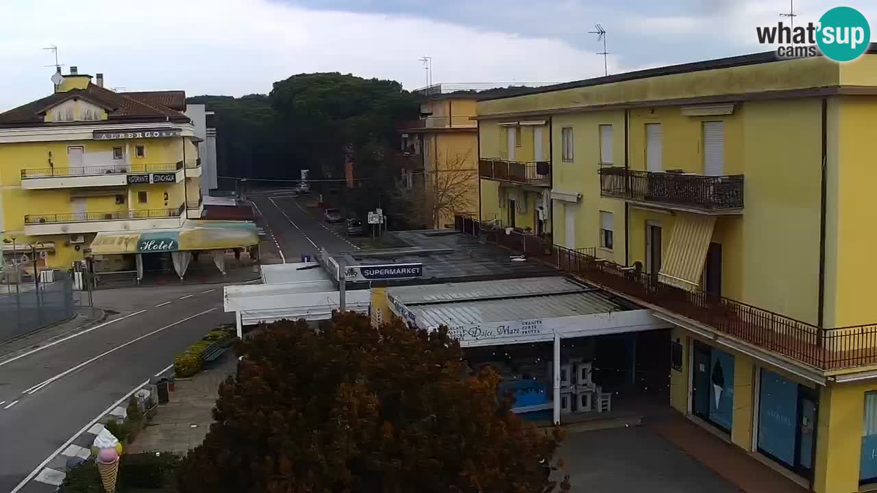 Camera en vivo Rosolina mare