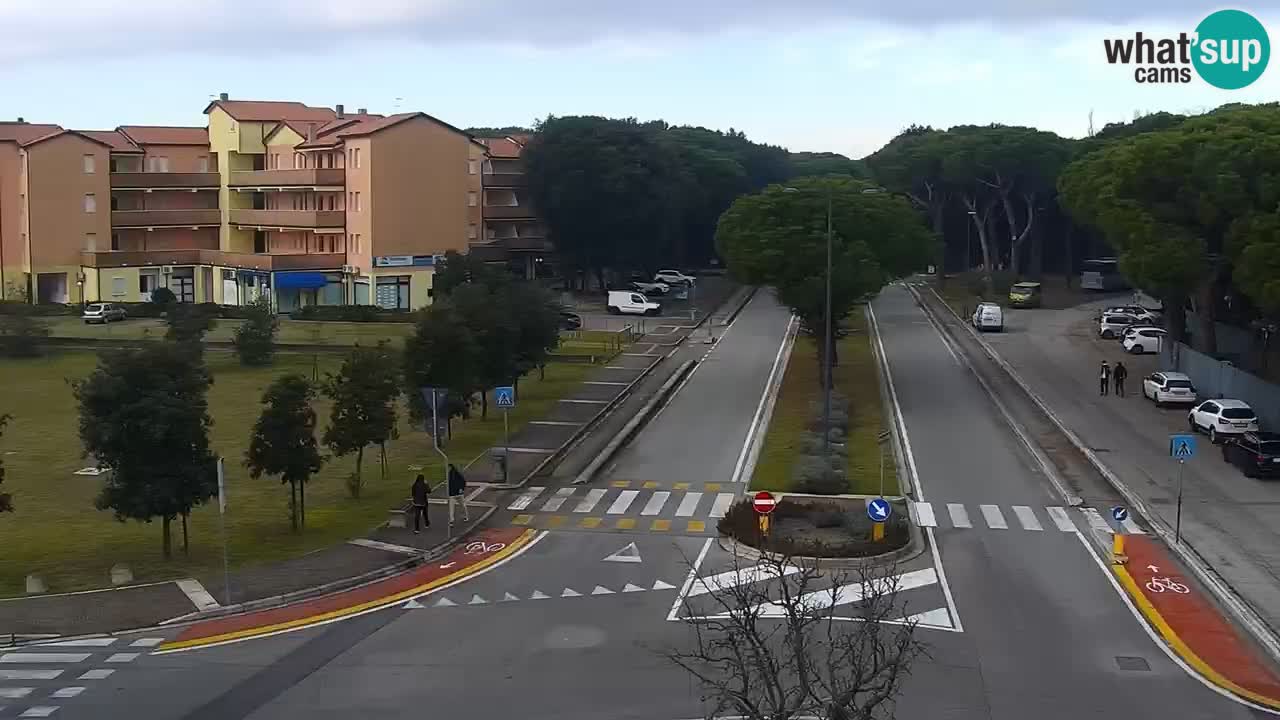 Camera en vivo Rosolina mare