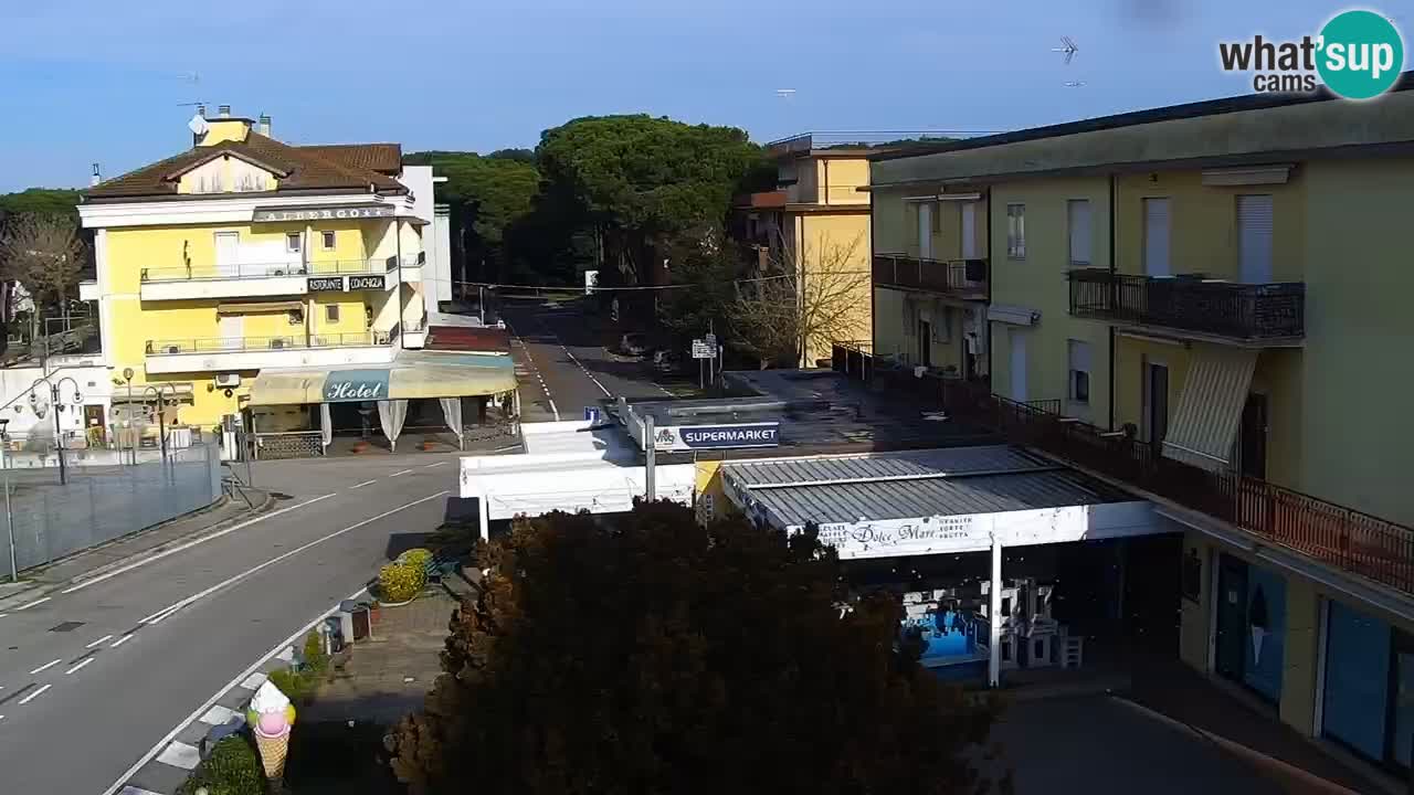 Camera en vivo Rosolina mare