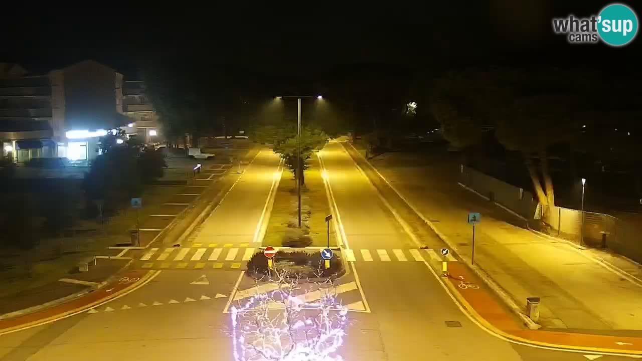 Camera en vivo Rosolina mare