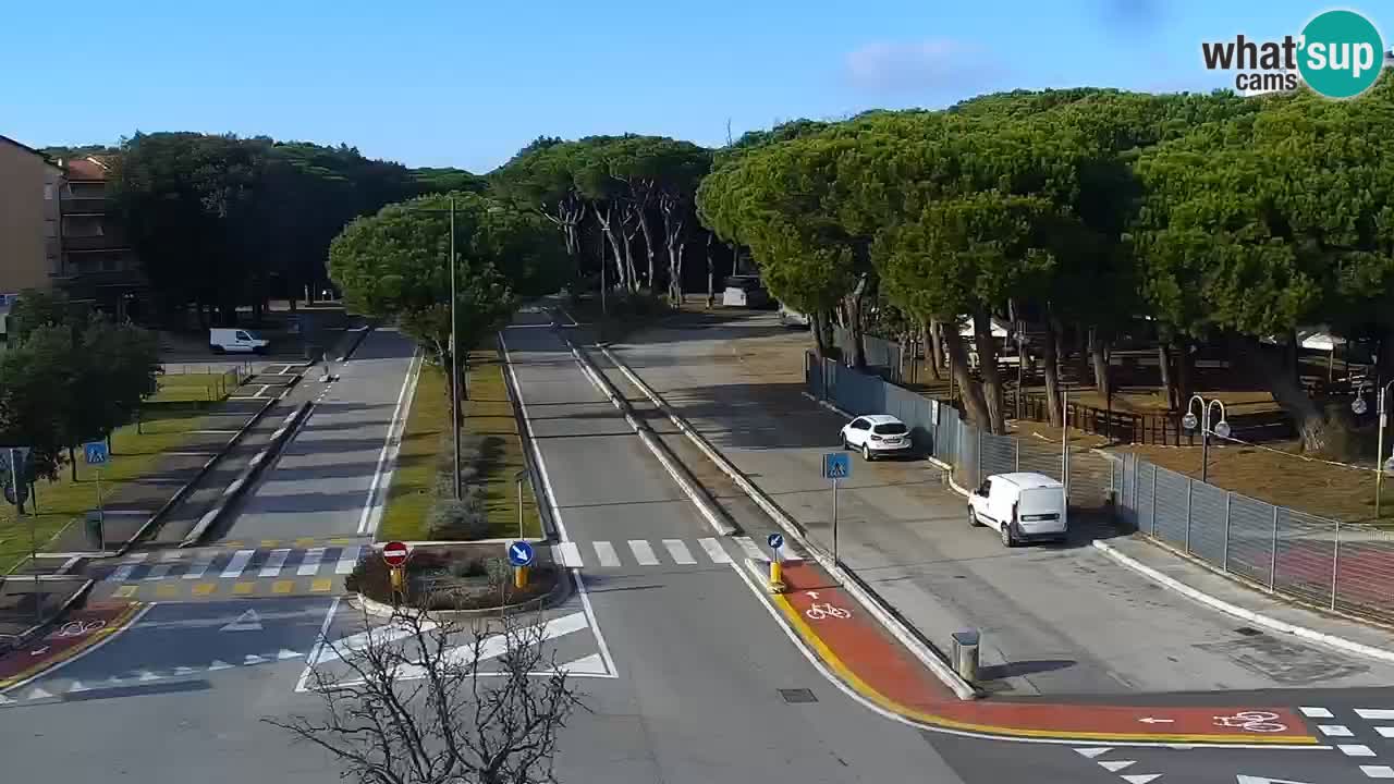 Web kamera Rosolina mare