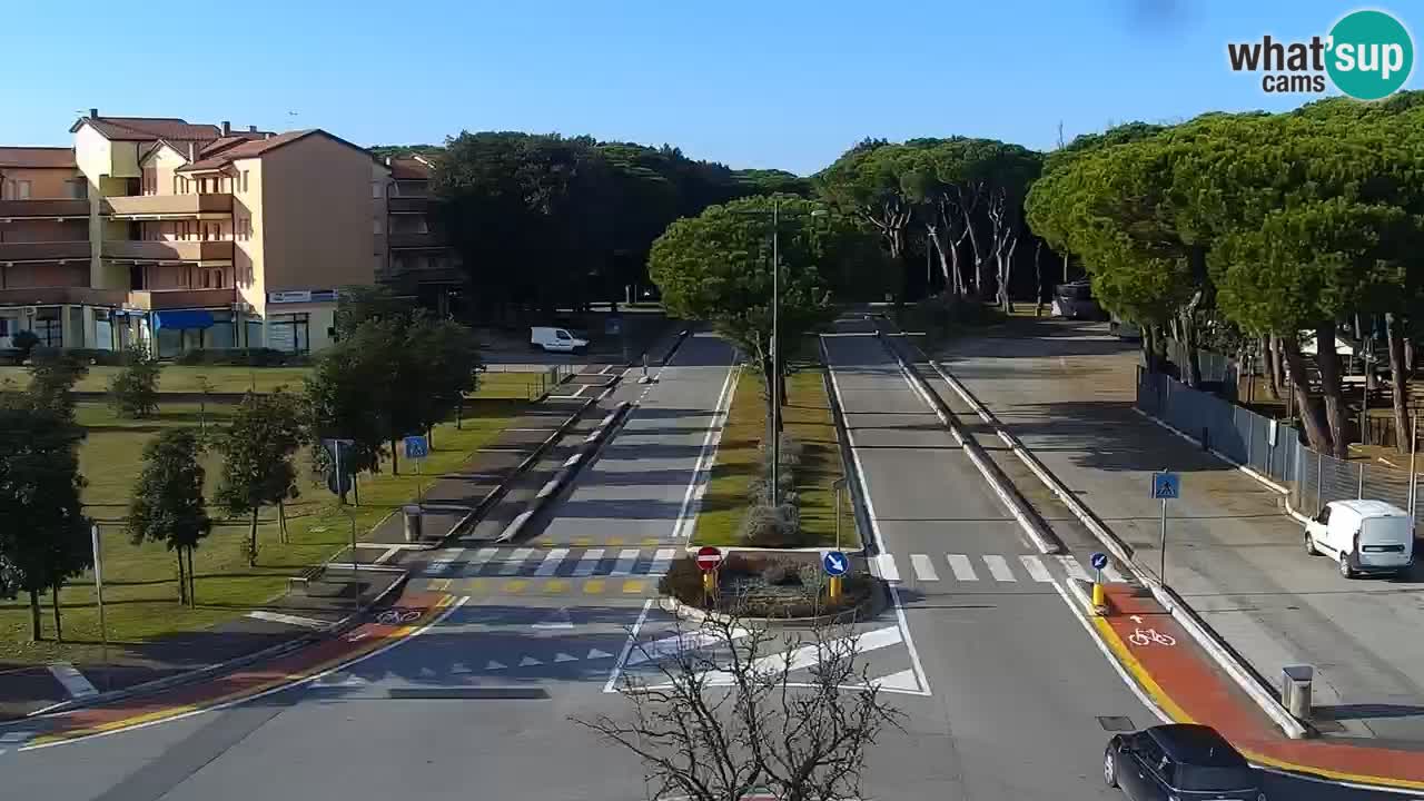 Livecam Rosolina mare