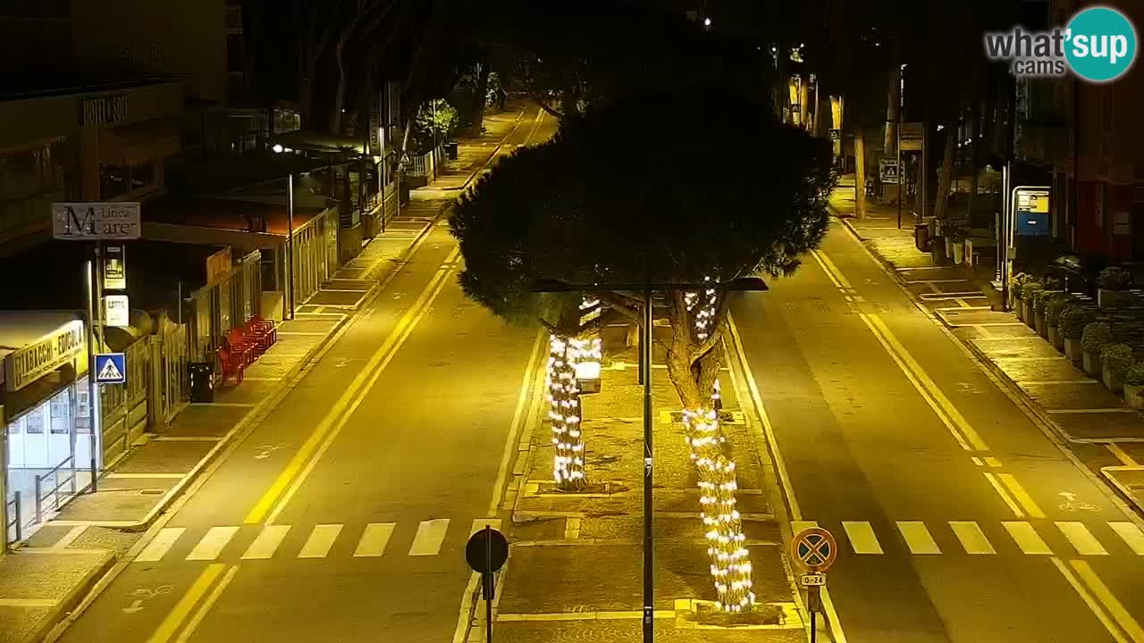 Camera en vivo Rosolina mare