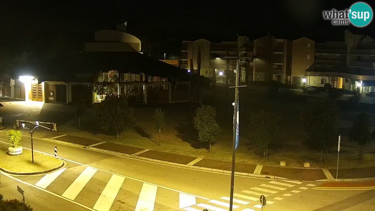 Camera en vivo Rosolina mare