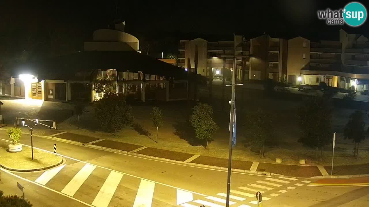 Livecam Rosolina mare