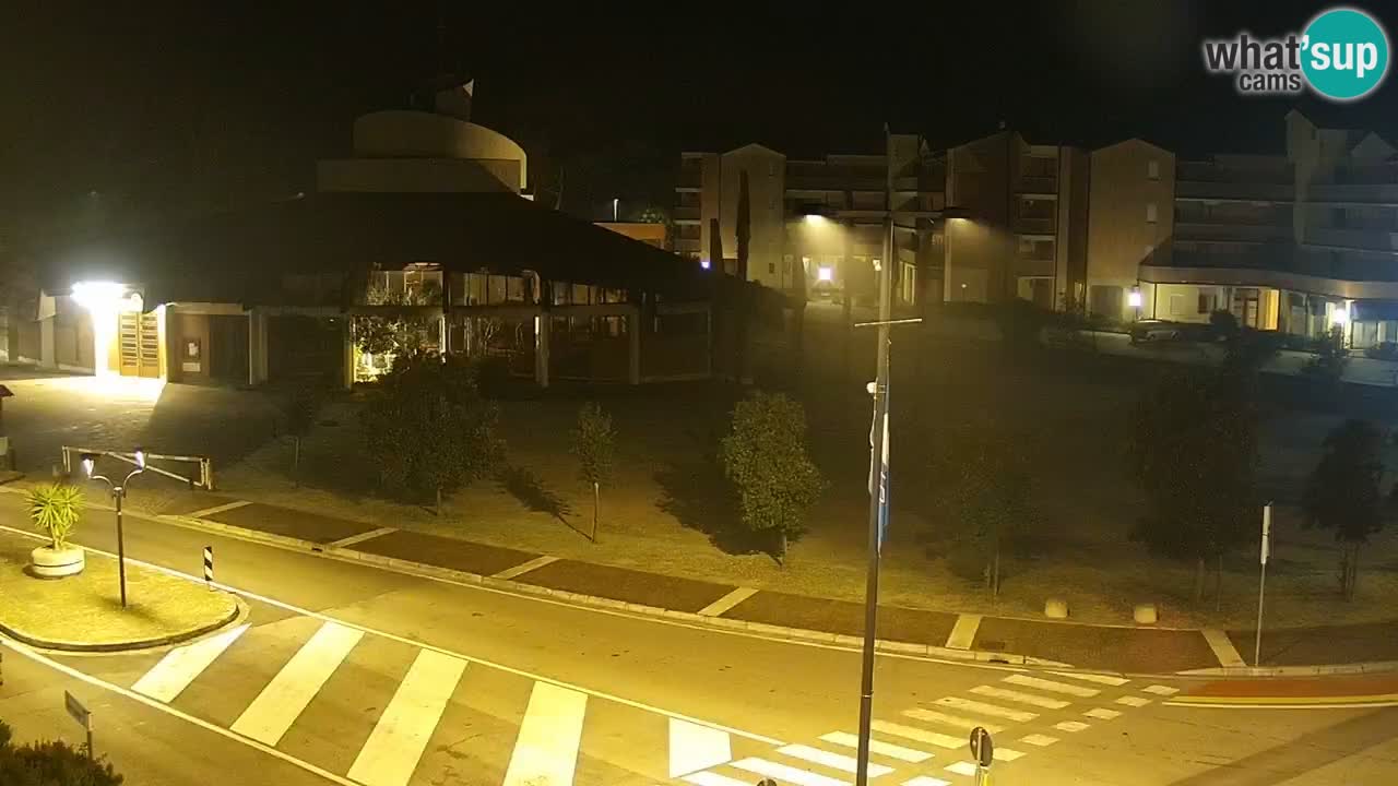 Livecam Rosolina mare