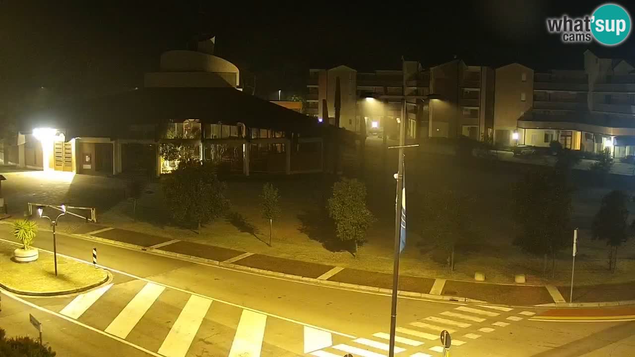 Livecam Rosolina mare