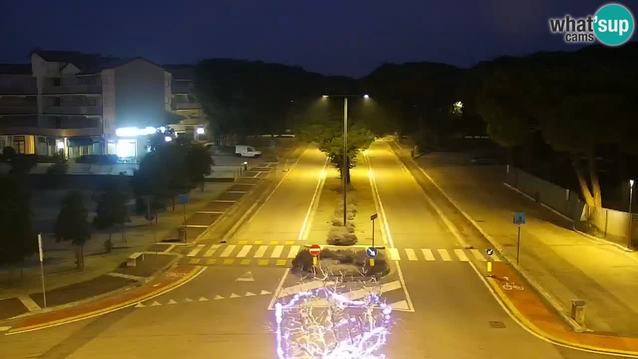 Livecam Rosolina mare