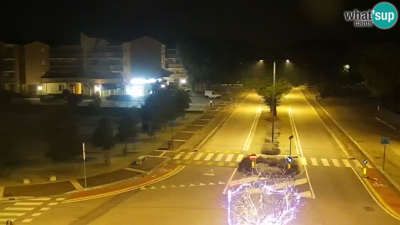 Camera en vivo Rosolina mare