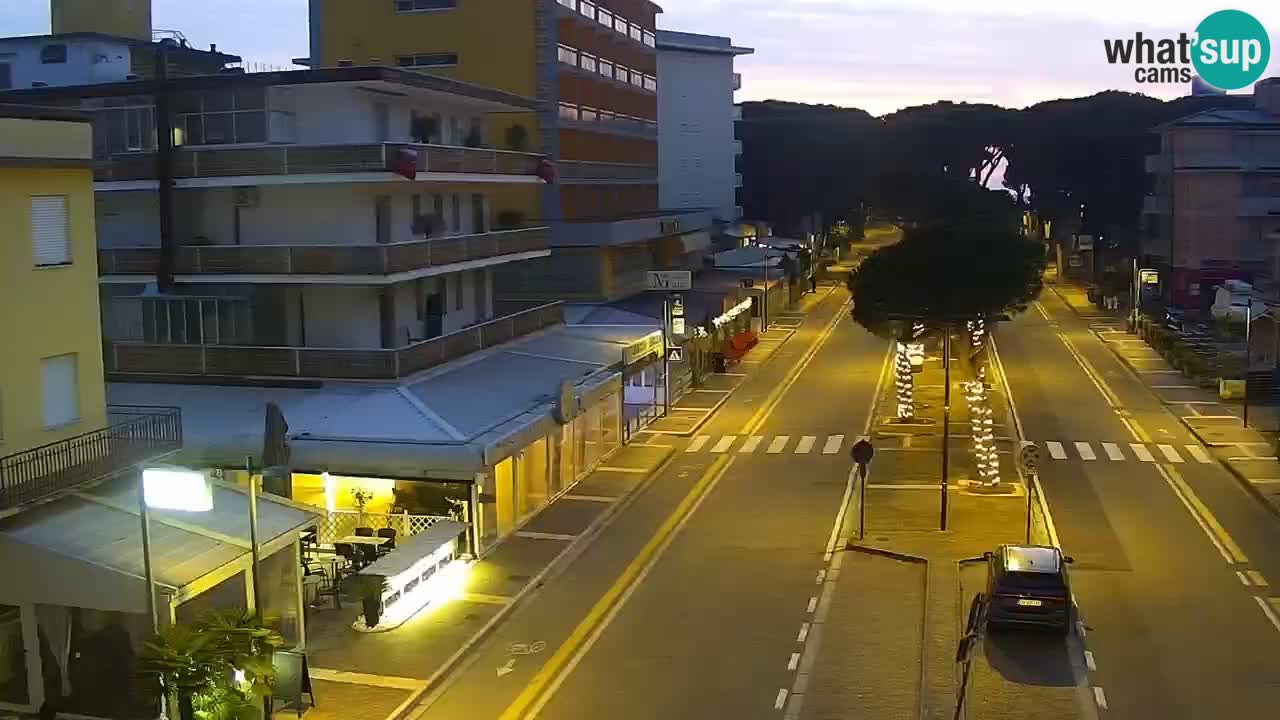 Camera en vivo Rosolina mare