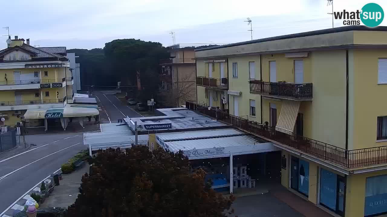 Livecam Rosolina mare