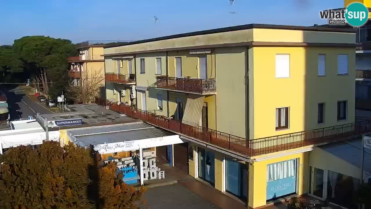 Camera en vivo Rosolina mare