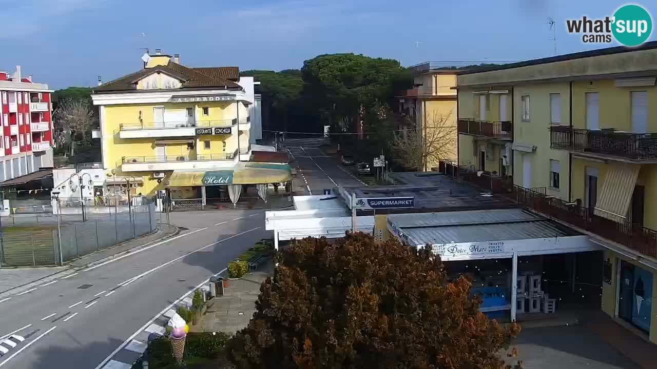 Livecam Rosolina mare