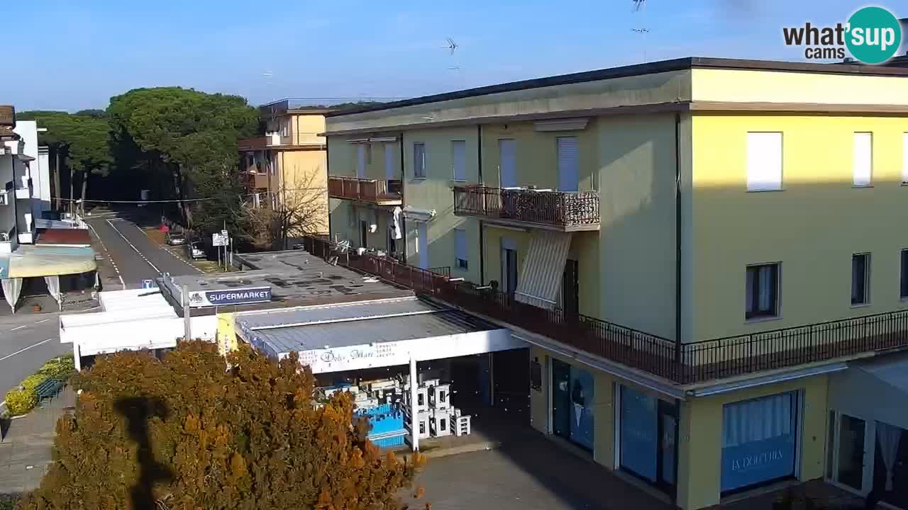 Camera en vivo Rosolina mare