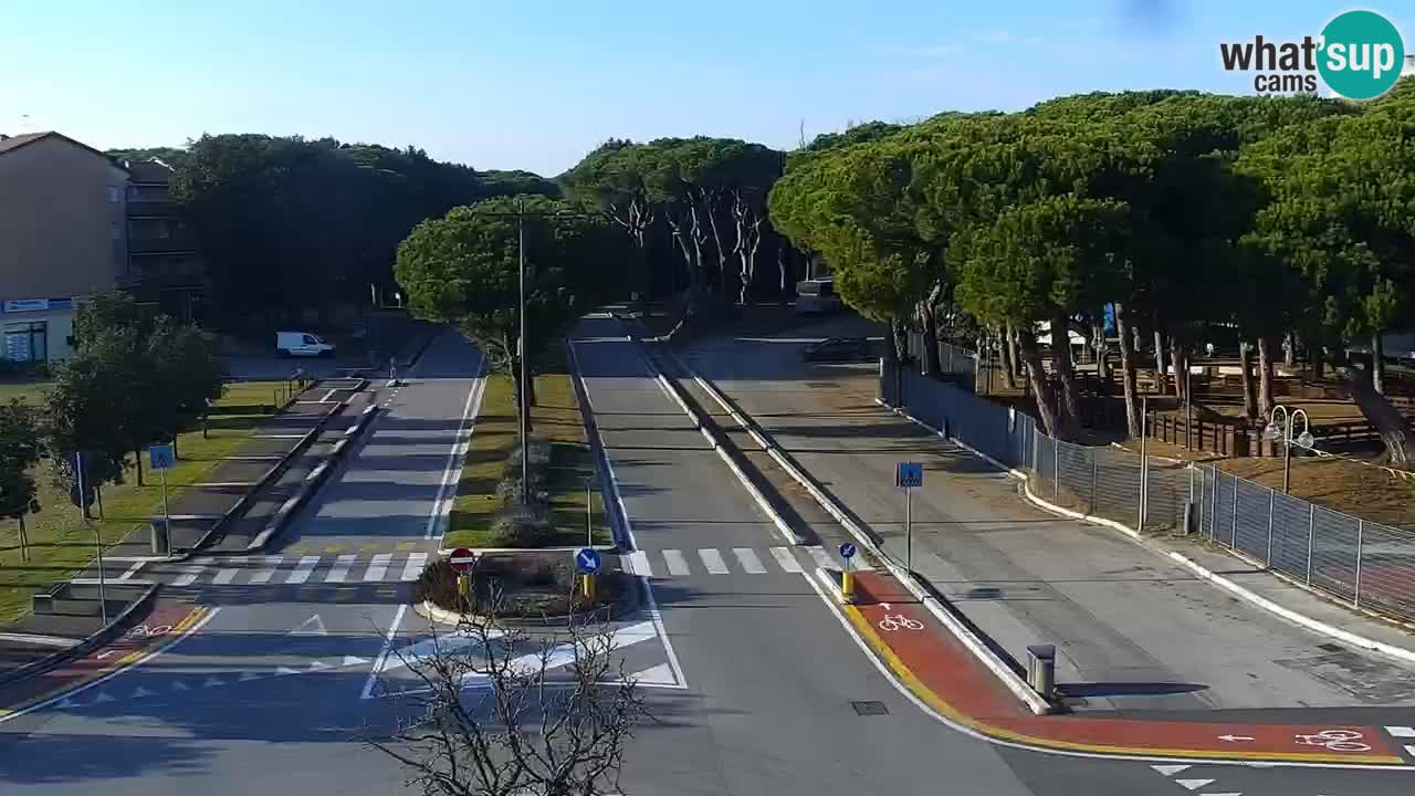 Livecam Rosolina mare