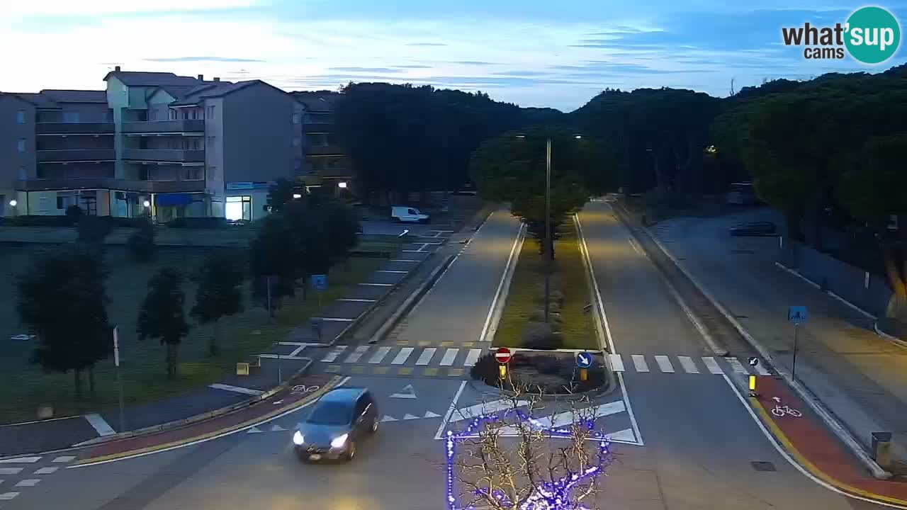 Livecam Rosolina mare