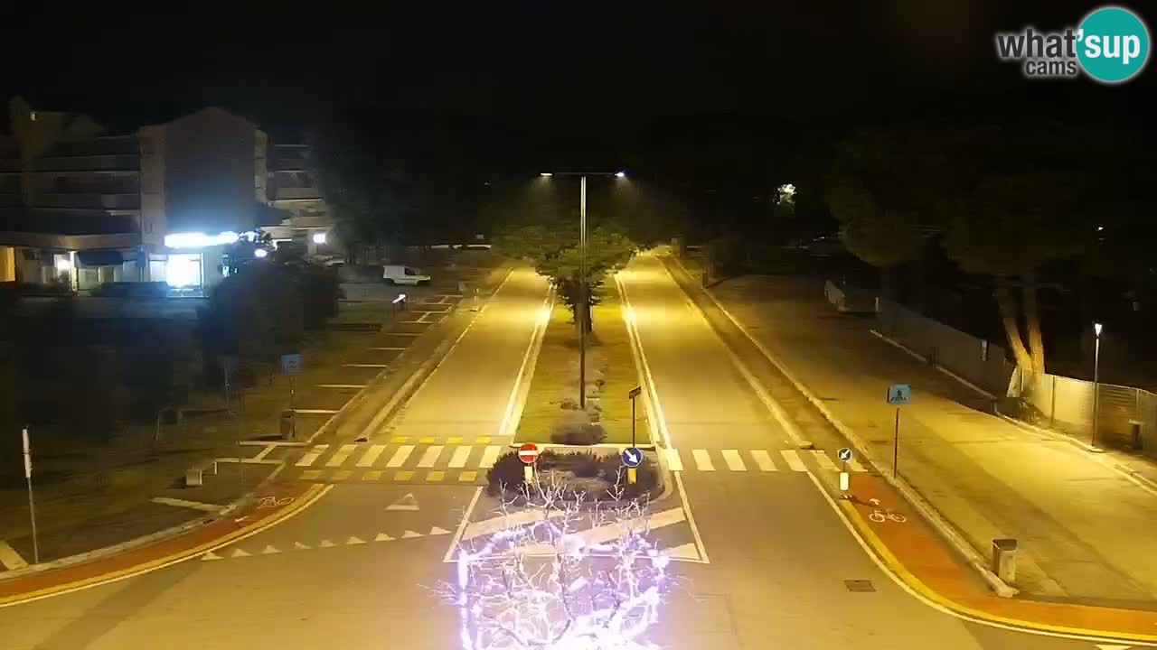 Camera en vivo Rosolina mare