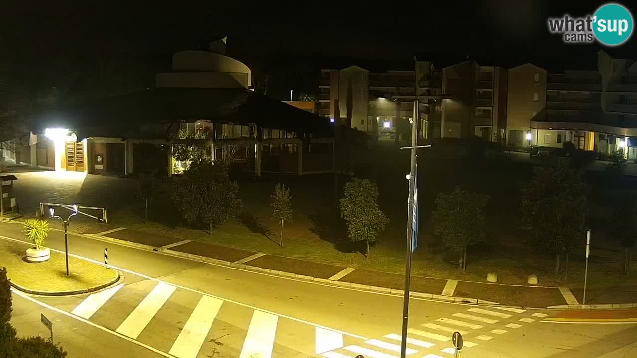 Livecam Rosolina mare