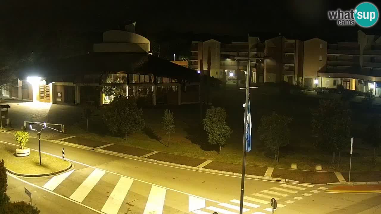 Livecam Rosolina mare