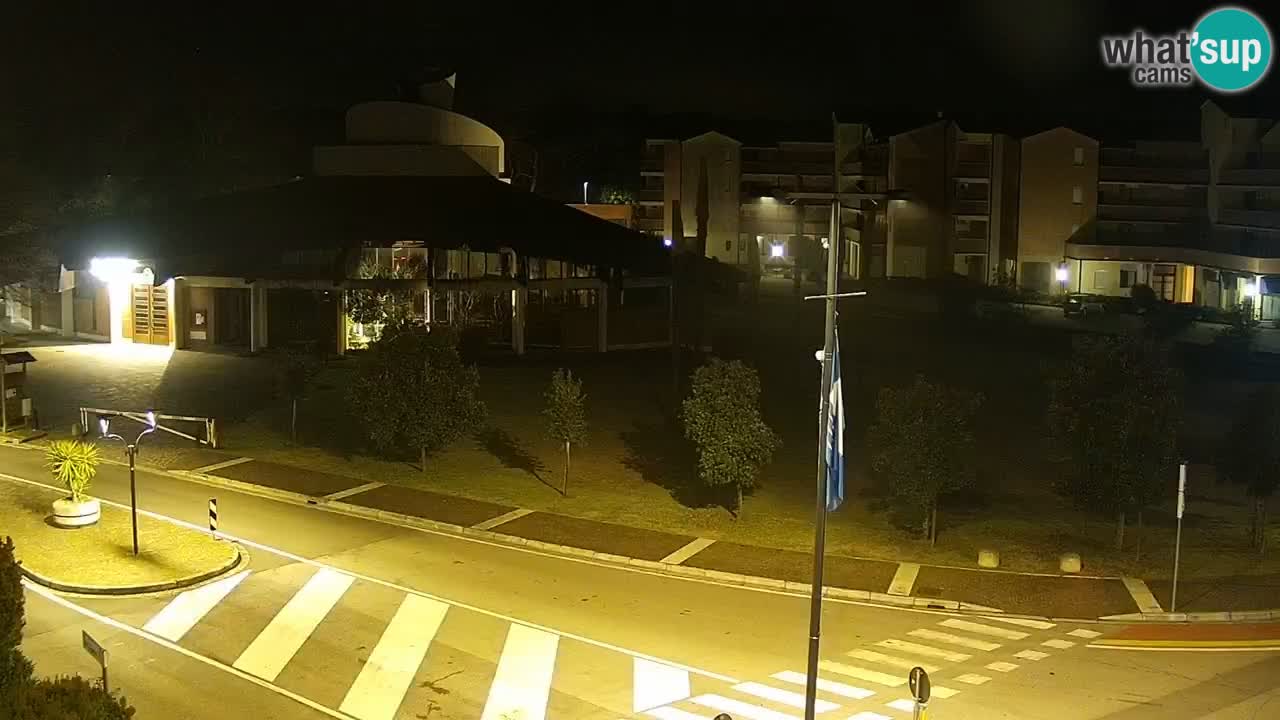 Livecam Rosolina mare