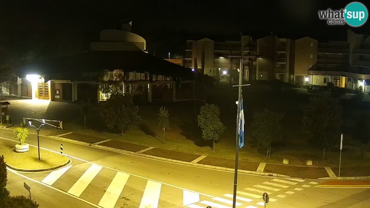 Livecam Rosolina mare