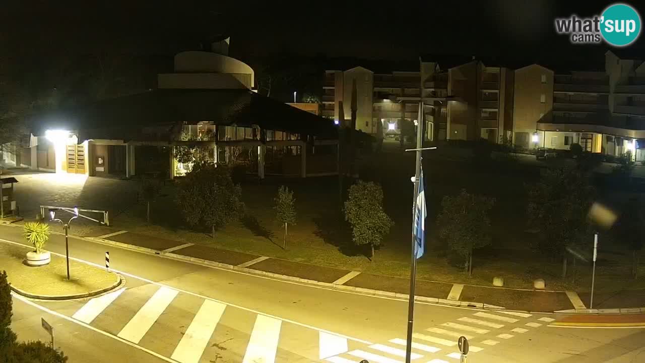 Livecam Rosolina mare