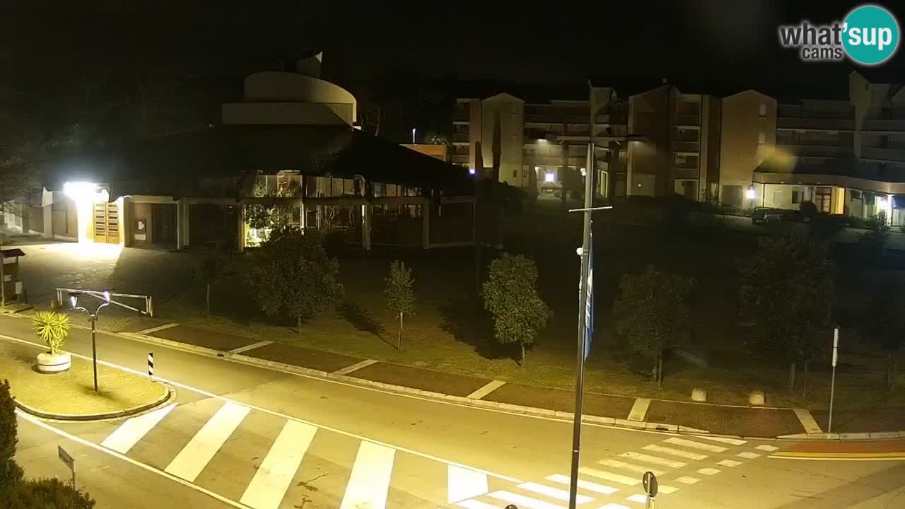 Livecam Rosolina mare webcam – Centro citta