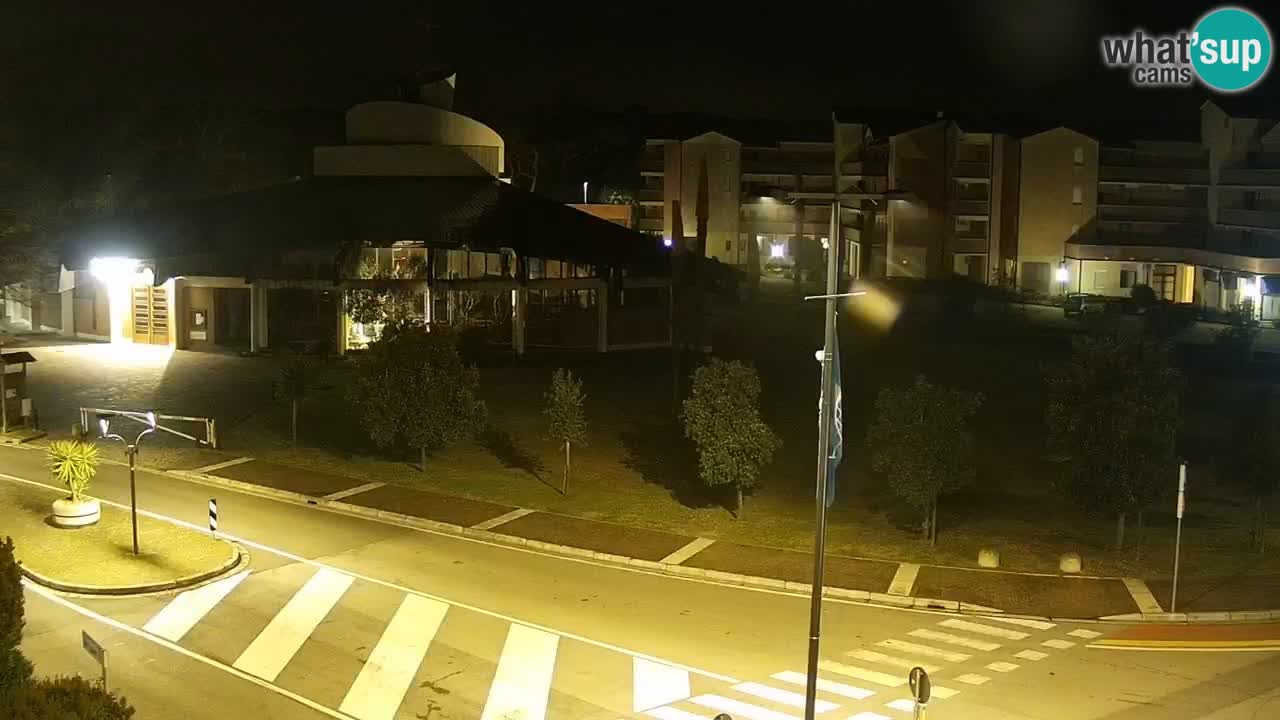 Livecam Rosolina mare