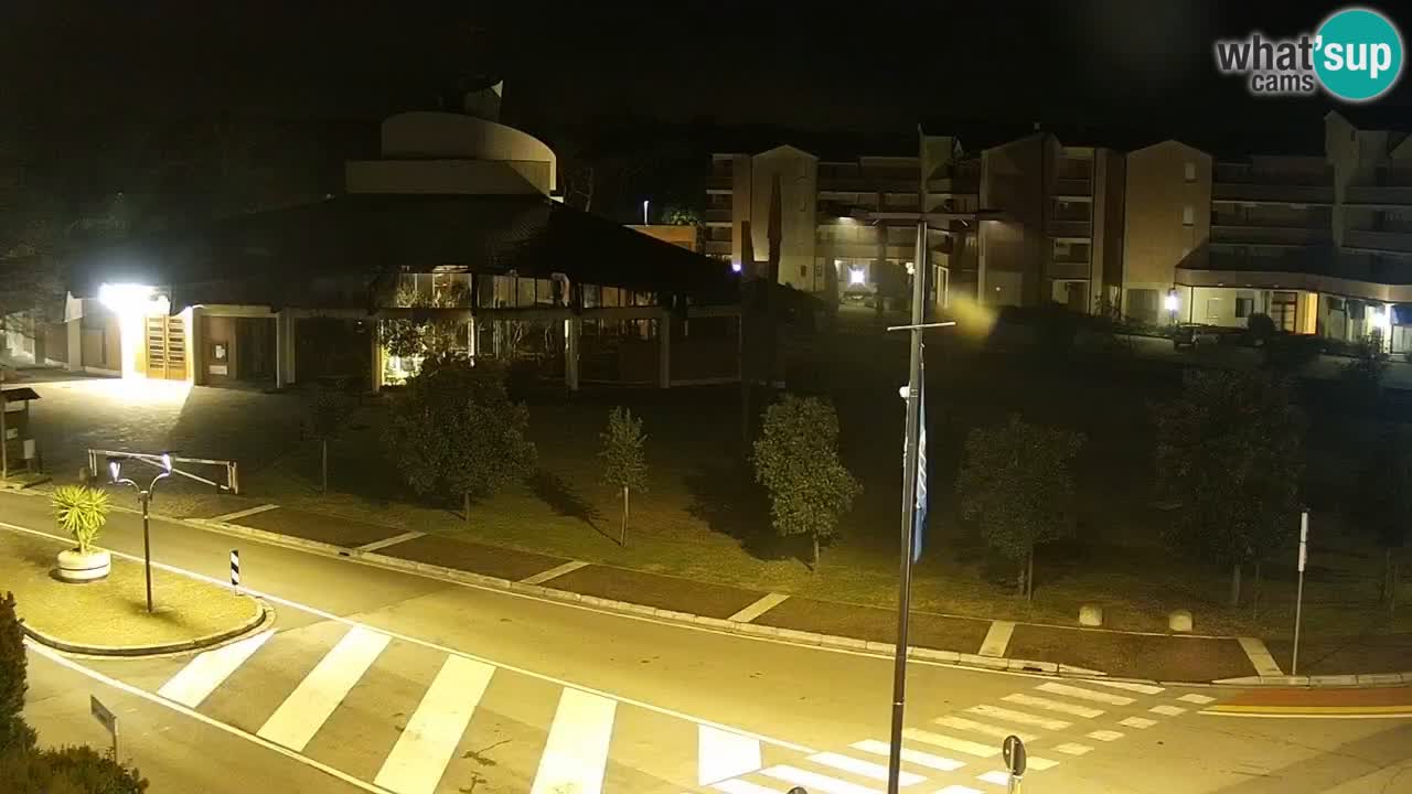 Livecam Rosolina mare