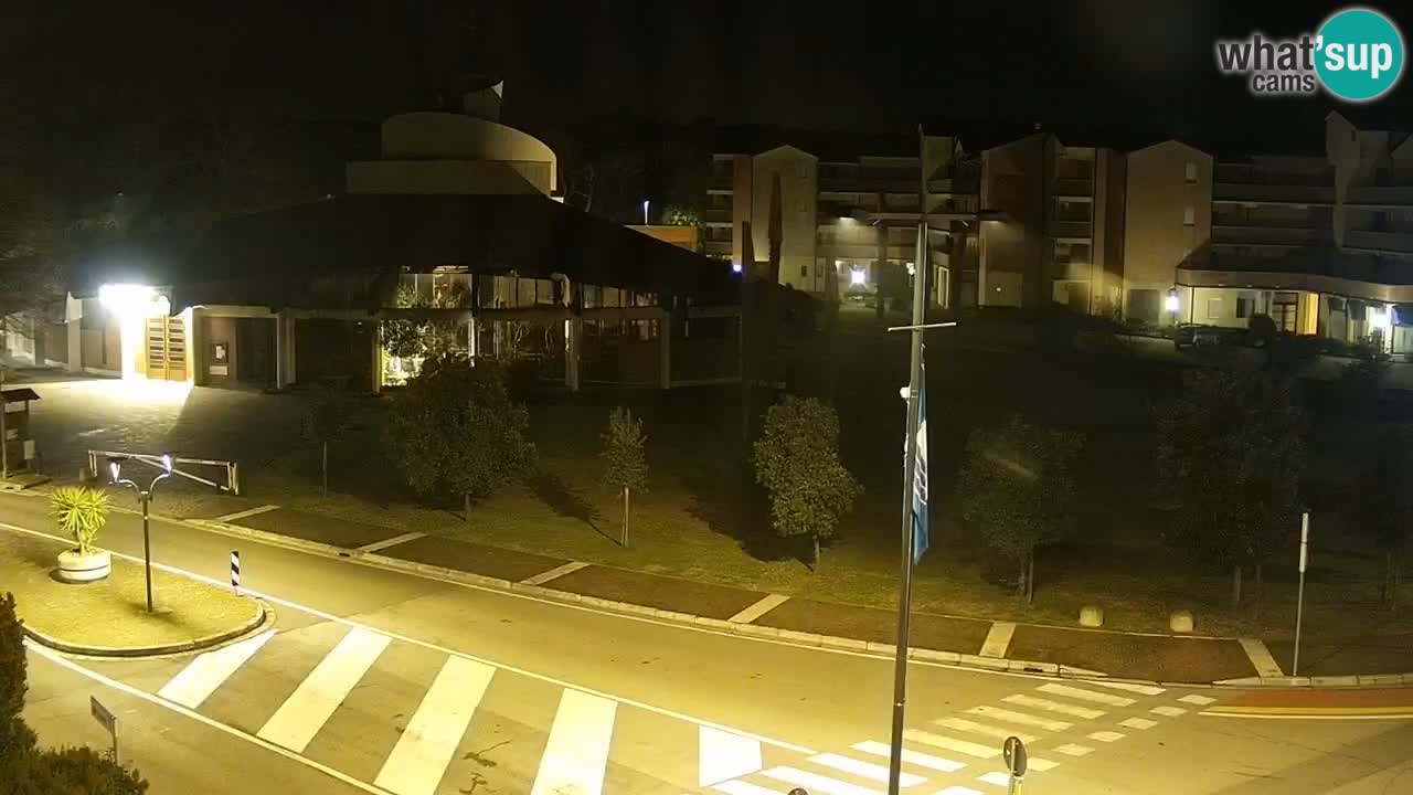 Livecam Rosolina mare