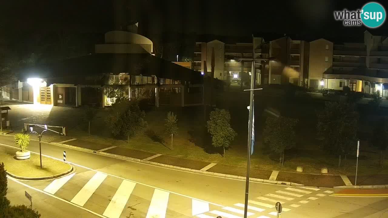 Camera en vivo Rosolina mare