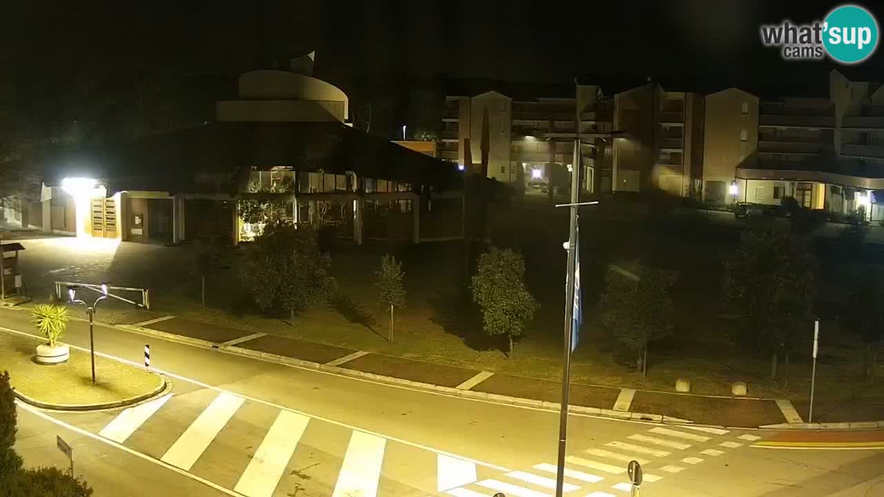 Livecam Rosolina mare