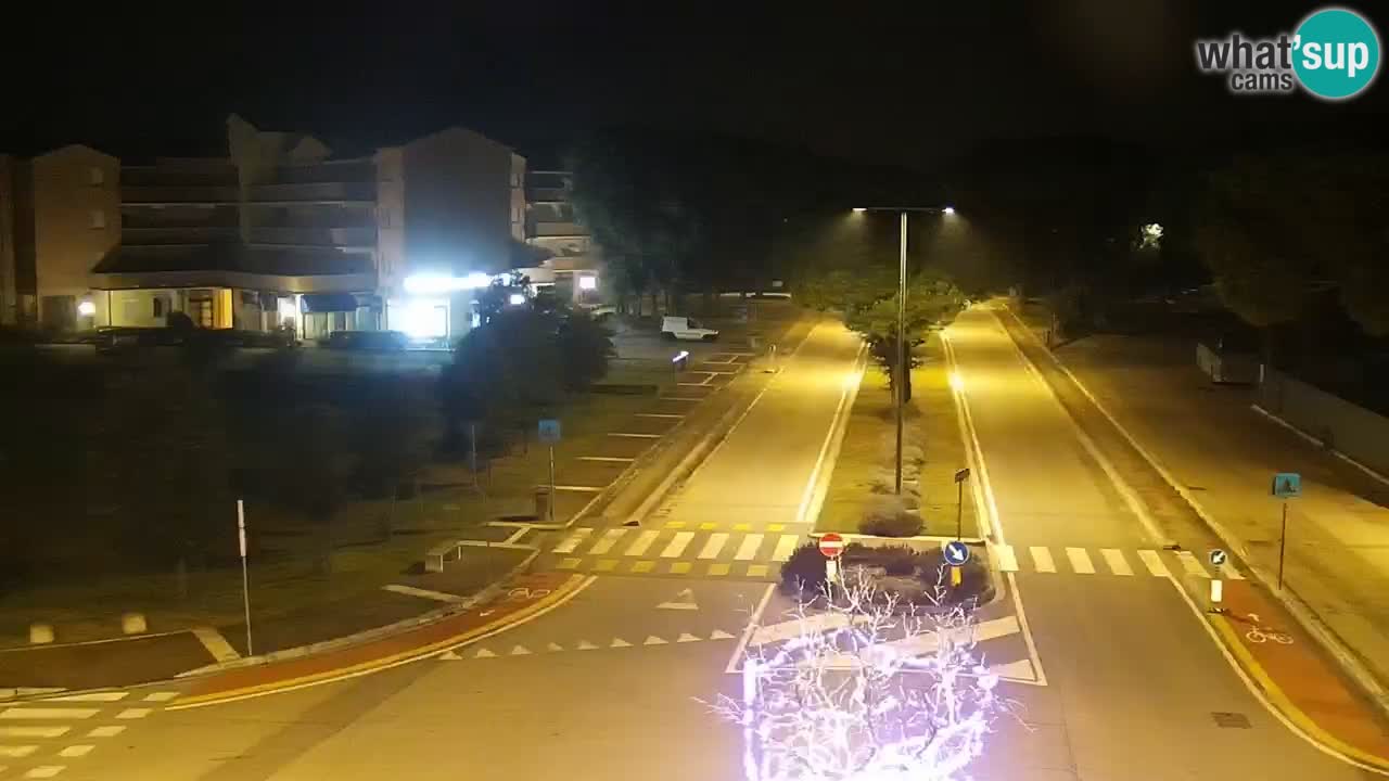 Camera en vivo Rosolina mare